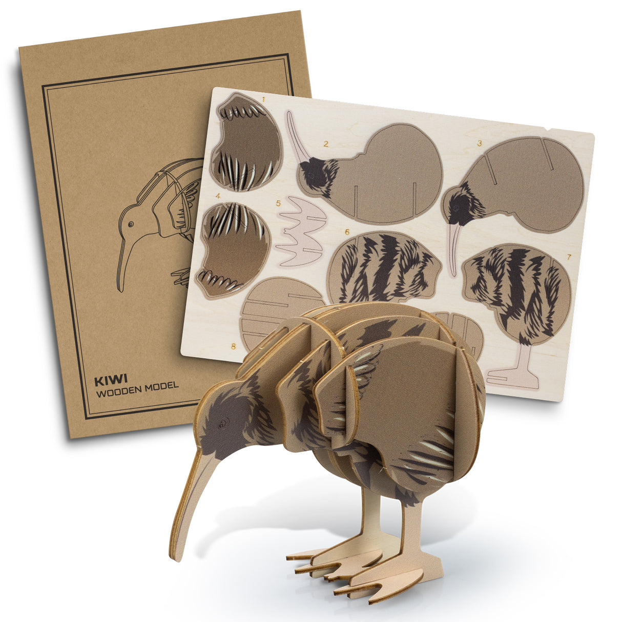 Wooden Kiwi Model crafted from eco-friendly Basswood; tool-free assembly offers fun for ages 8+, ideal for gifts and promotions.