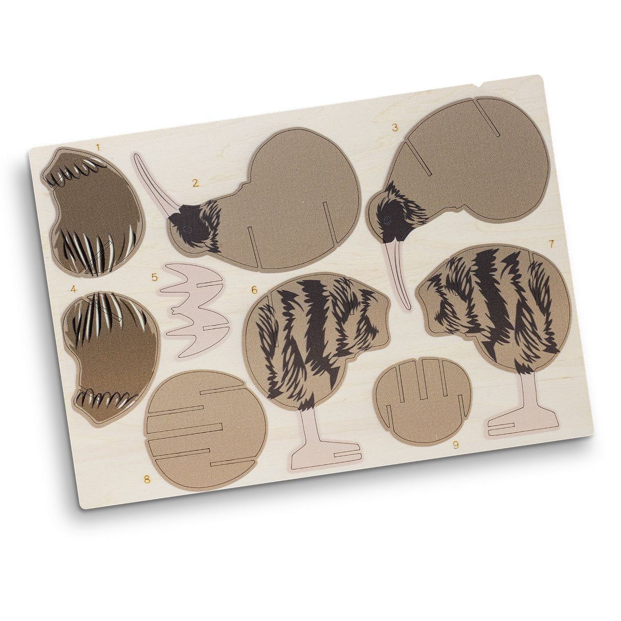 Wooden Kiwi Model made of eco-friendly Basswood, featuring 9 components for easy tool-free assembly, perfect for creative fun.