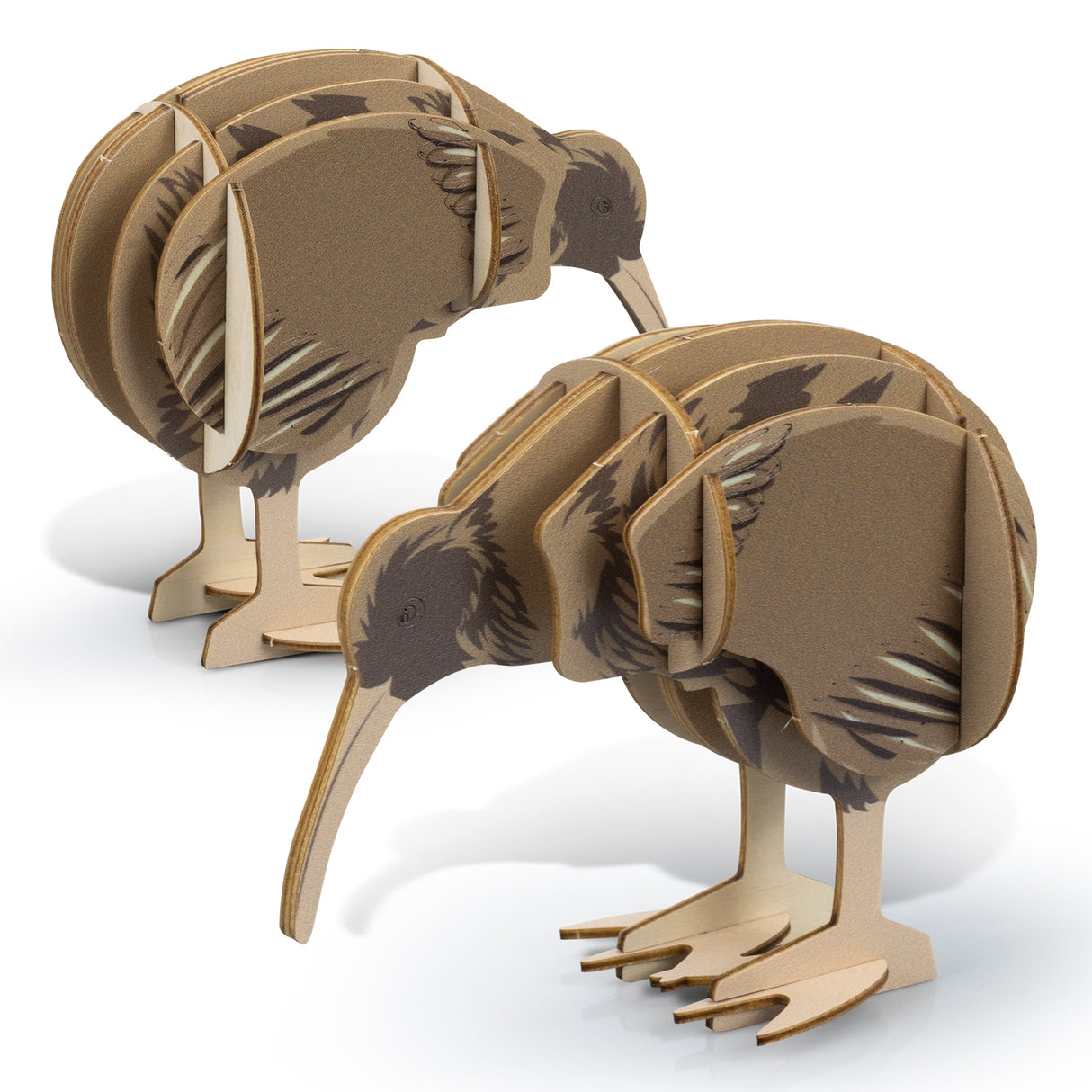 Wooden Kiwi Model crafted from Basswood, features tool-free assembly, eco-friendly design, and a unique interactive experience.