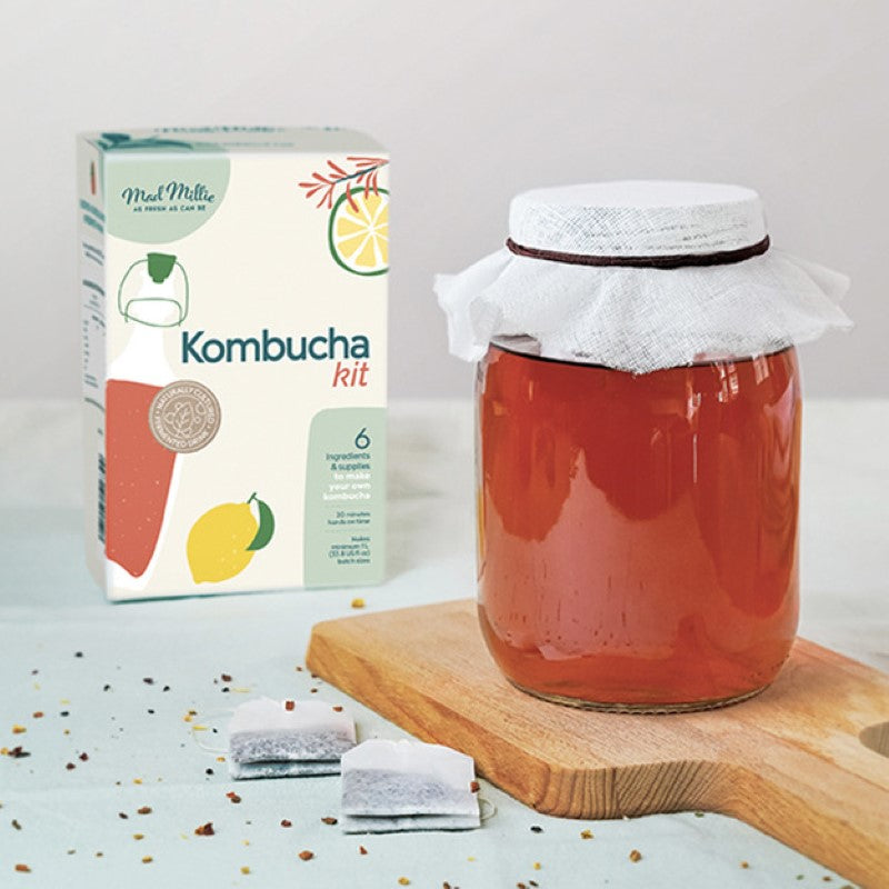 Kombucha Making Kit with SCOBY, glass jar, thermometer, and guide for brewing fizzy, homemade Kombucha at home.
