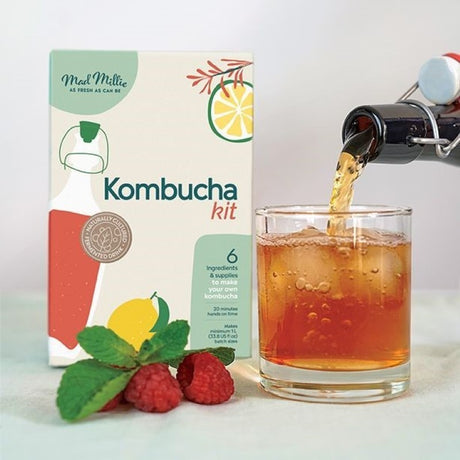 Kombucha Making Kit: Essential home brewing kit with SCOBY, jar, lid, thermometer, cloth, and guide for delicious kombucha.
