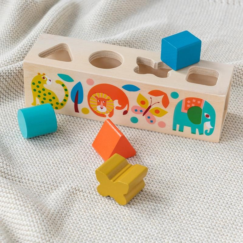 Wooden shape sorter toy for kids, promoting fine motor skills and cognitive learning through colorful shapes and hands-on play.