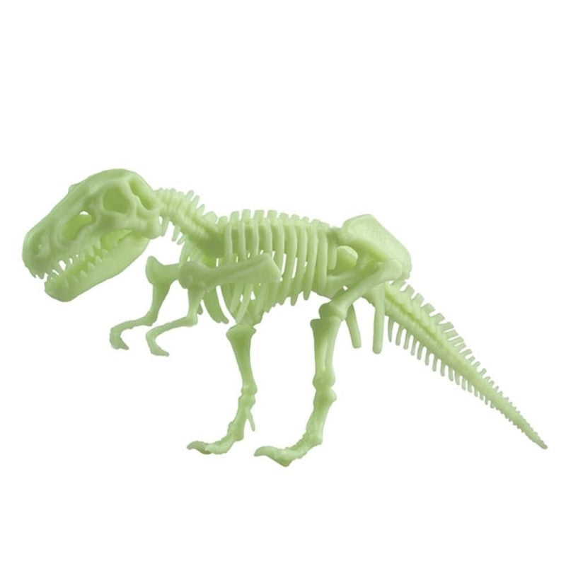 Glow-in-the-dark T. Rex skeleton kit for kids, featuring easy assembly and educational fun for young dino enthusiasts.