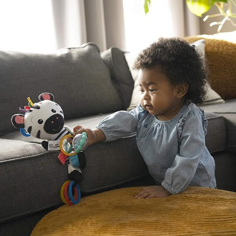 Vibrant black-and-white sensory zebra plush toy with crinkle sounds and a mirror, designed for newborn cognitive development.