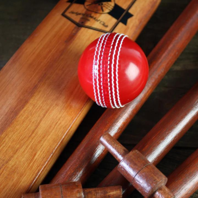 Vintage-inspired 8-piece cricket set with bat, wickets, bails, ball, and carry bag for fun outdoor games.