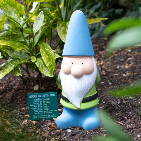 Whimsical Weather Forecasting Gnome with humorous weather indicators for fun and functional garden decor.