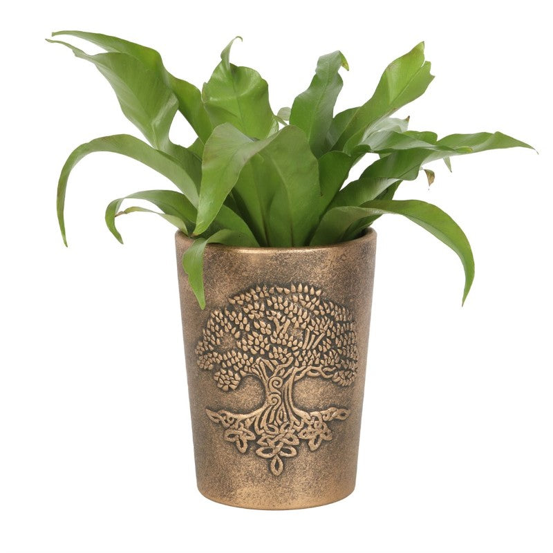 Terracotta planter featuring Tree of Life design by Lisa Parker, finished in antiqued bronze, ideal for indoor or outdoor plants.
