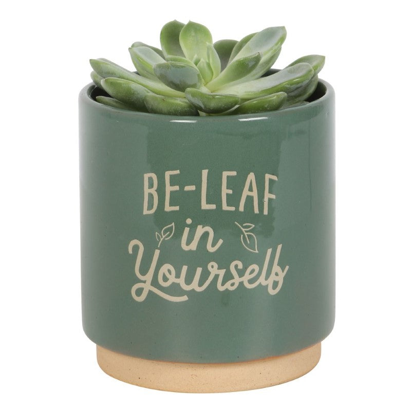 Earthenware plant pot with motivational text and green glaze, perfect for home decor and gifting.