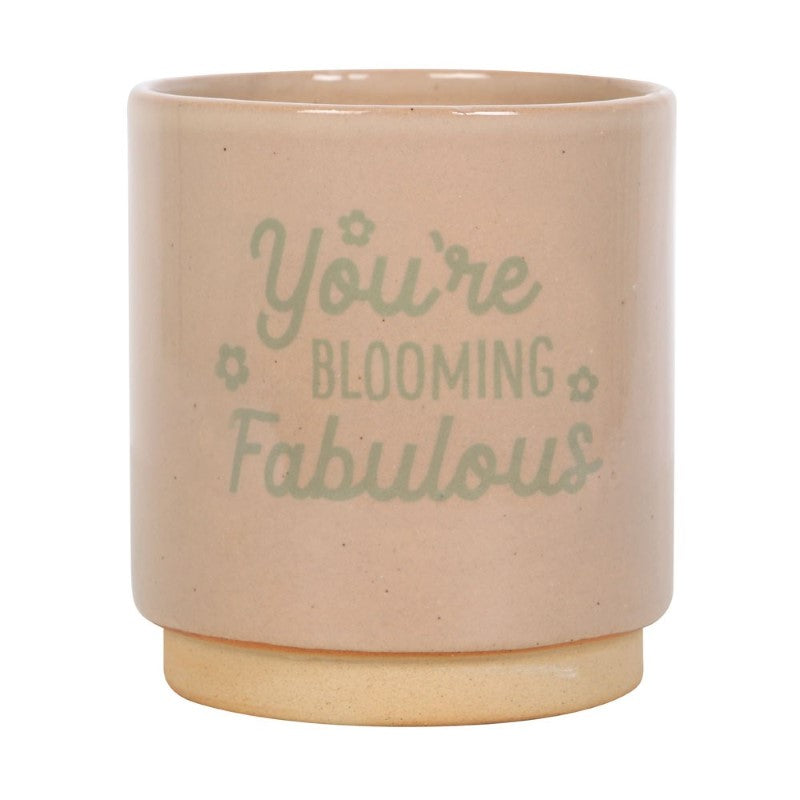 Cream speckle earthenware plant pot with green glaze and inspirational message, perfect for home decor and gifting.