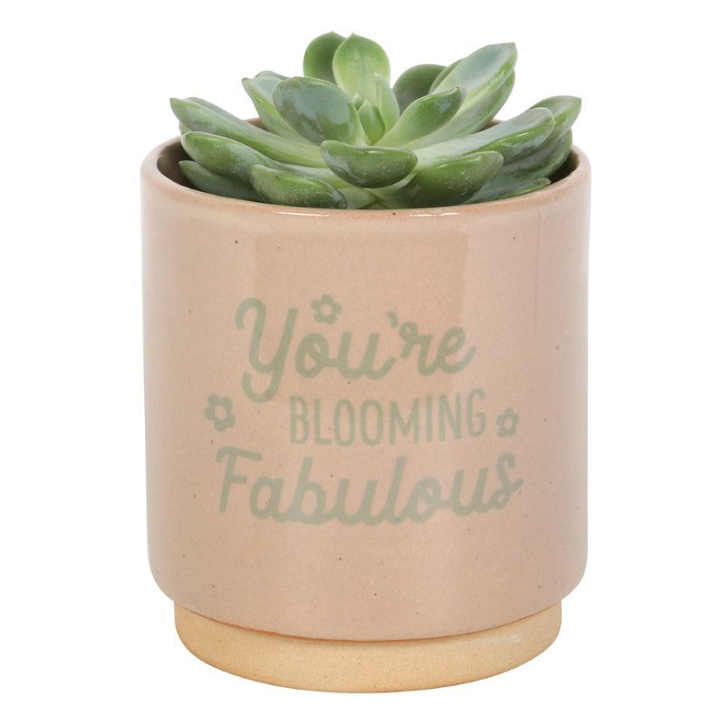 Cream speckle plant pot with inspirational text and green glaze, perfect for home decor and plant lovers.