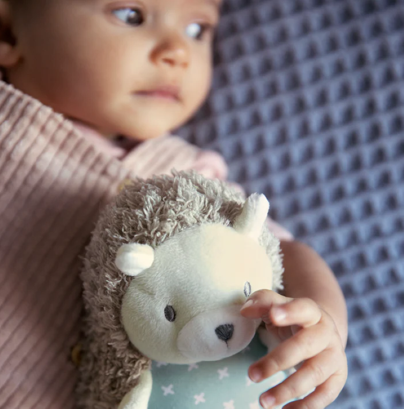 Plush hedgehog squeak toy for infants, perfect for cuddling and on-the-go comfort. Suitable for ages 0-36 months.