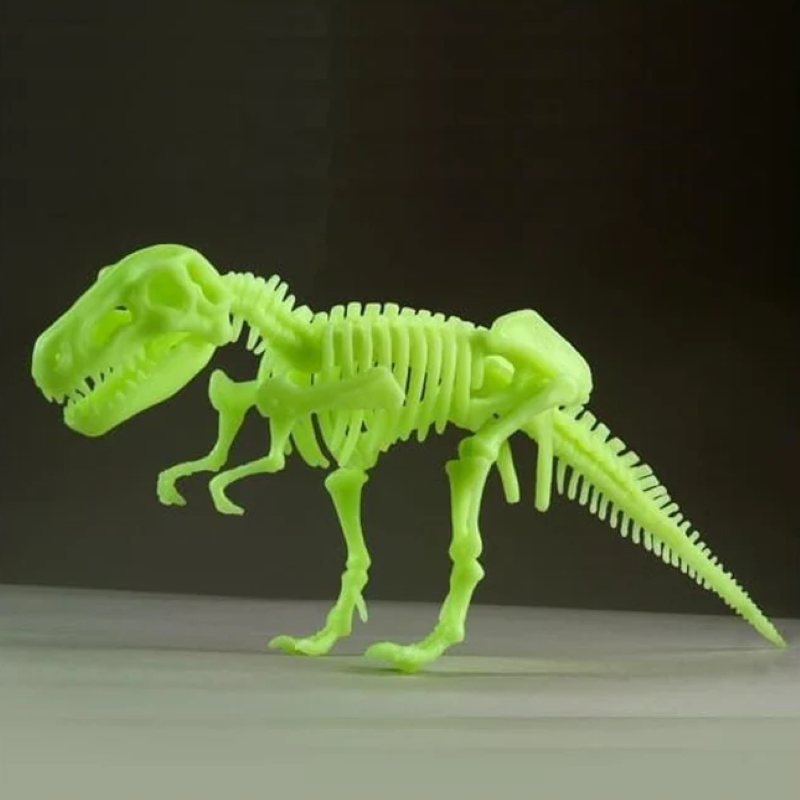 Glow-in-the-dark T. Rex skeleton kit for kids, featuring easy assembly and educational fun for young dinosaur enthusiasts.
