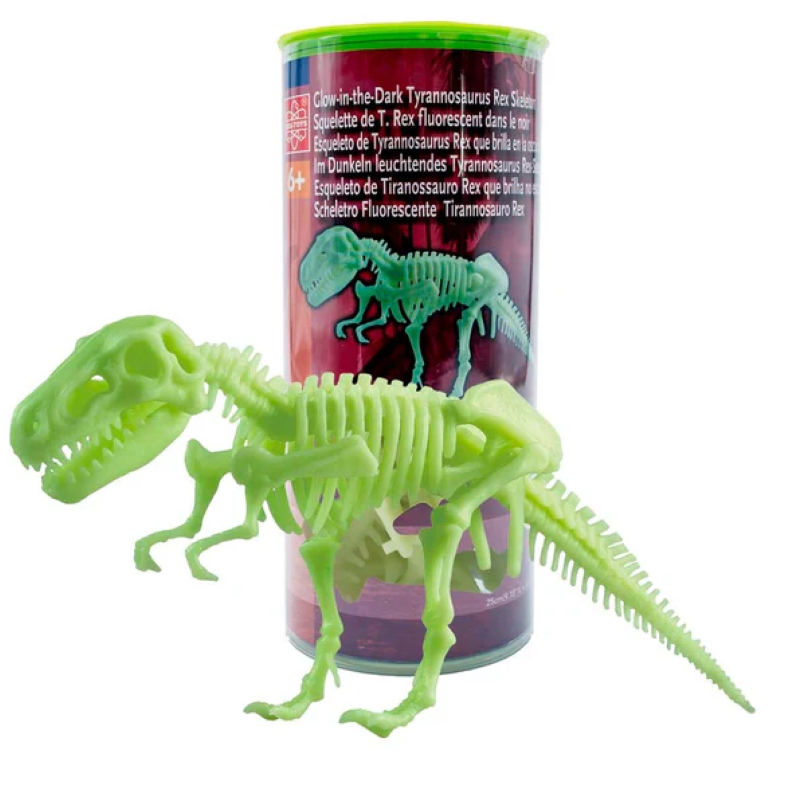 Glow-in-the-dark T. Rex skeleton kit for kids aged 6+, features easy assembly and educational dinosaur fun.