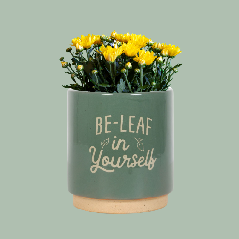 Charming earthenware plant pot with green glaze and motivational text, perfect for home decor and gifting.
