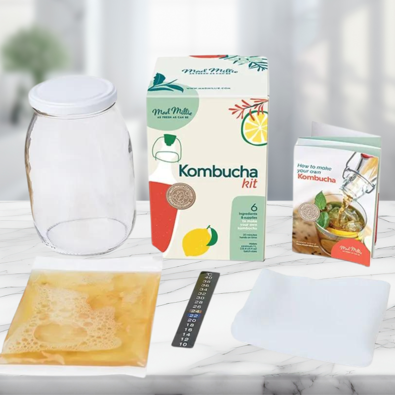 Kombucha Making Kit with glass jar, SCOBY, thermometer, and guide for brewing delicious homemade Kombucha.