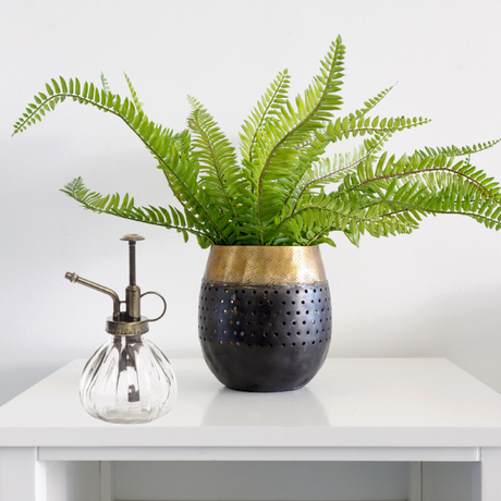 Elegant glass plant mister with an angled spout, perfect for misting indoor plants like orchids and ferns.