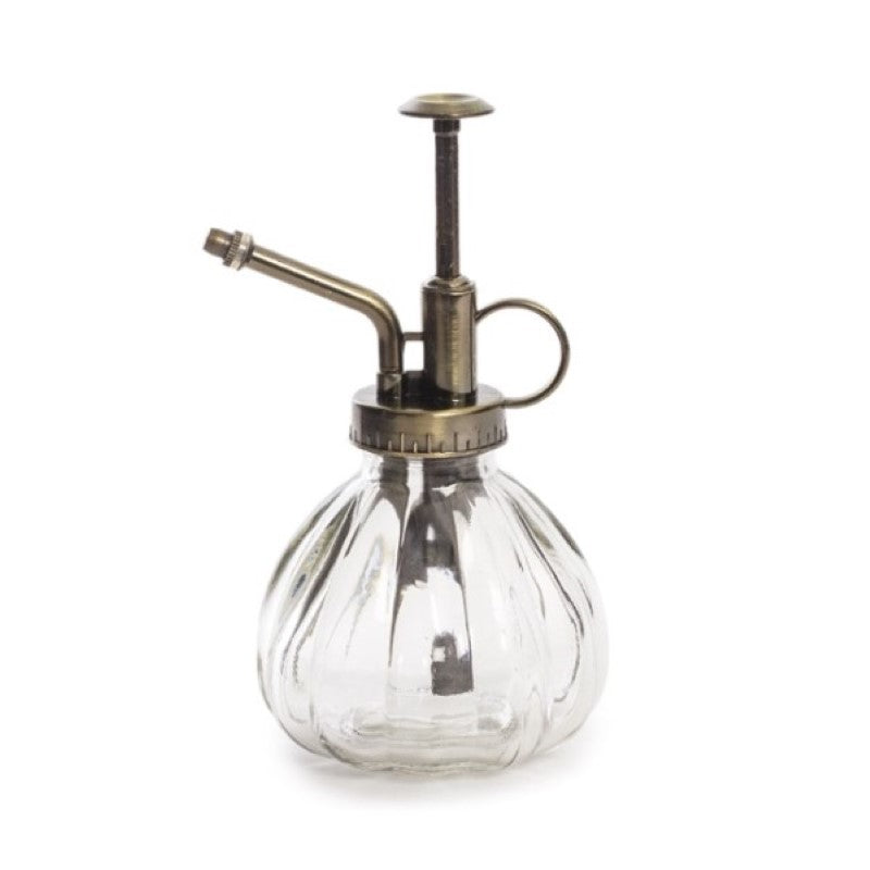 Elegant glass plant mister with angled spout, perfect for delicate indoor plants like ferns and orchids.