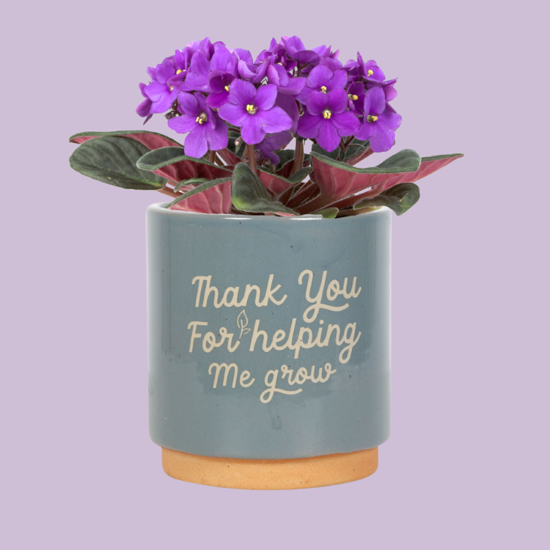 Blue earthenware plant pot with "Thank You For Helping Me Grow" text and vibrant green glaze, perfect for indoor plants.