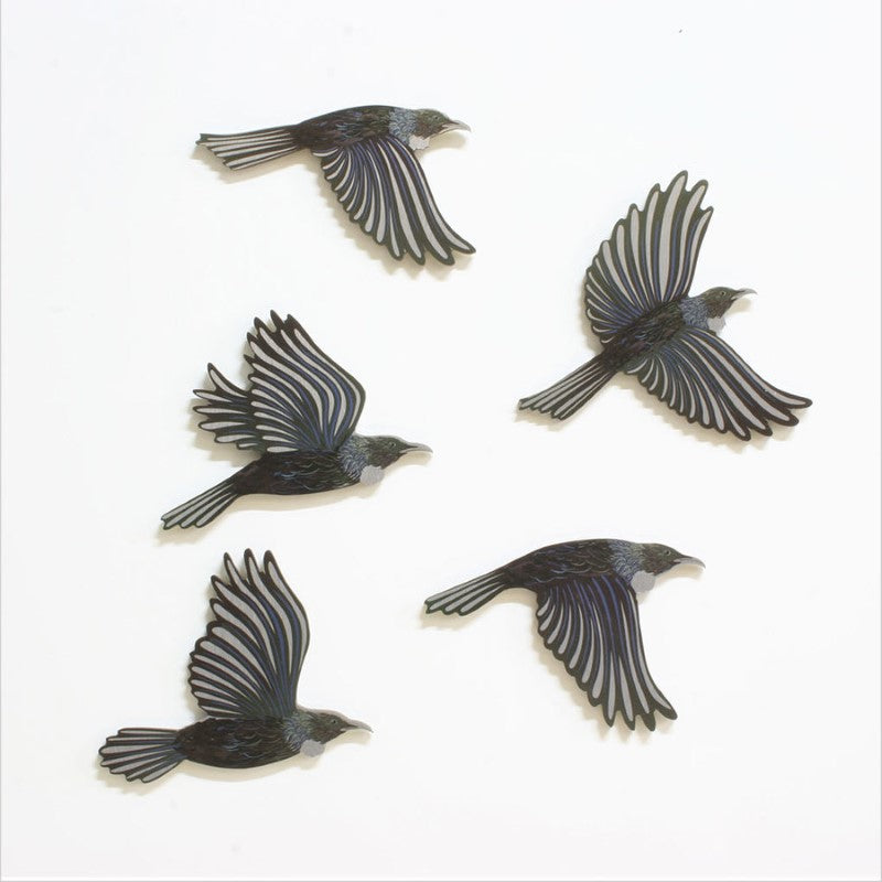 Set of 5 Flying Tui Printed on Aluminium