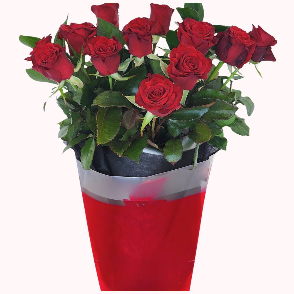 Pre-Order a Dozen Red Roses for Valentine's Day – Auckland Delivery Only