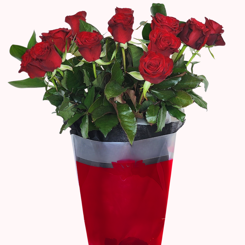 Pre-Order a Dozen Red Roses for Valentine's Day – Auckland Delivery Only