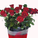 Pre-Order a Dozen Red Roses for Valentine's Day – Auckland Delivery Only